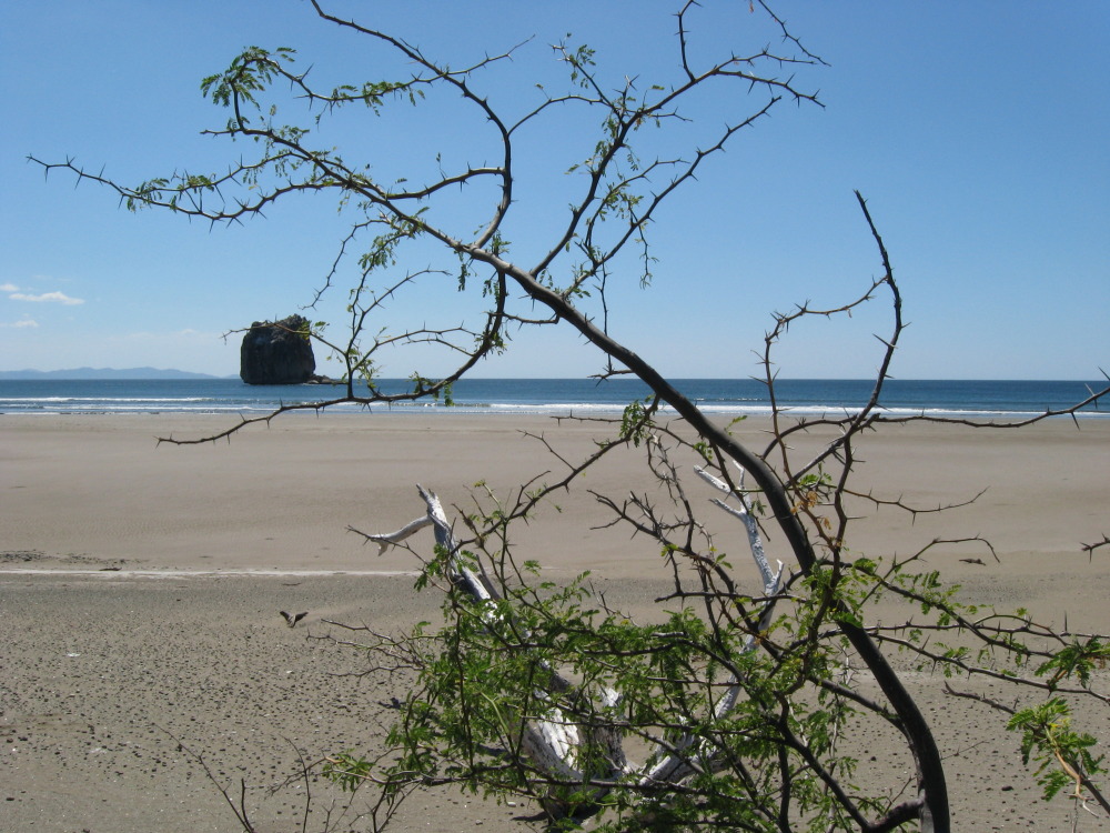 Lokation: Costa Rica | Guanacaste | Guanacaste | Kategorien: Strand, Datum: 07.02.2010