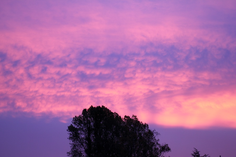 Lokation: Deutschland | Nordrhein-Westfalen | Bergisch Gladbach | Rodemich Kategorien: Sonnenauf-,untergang, Datum: 30.10.2010