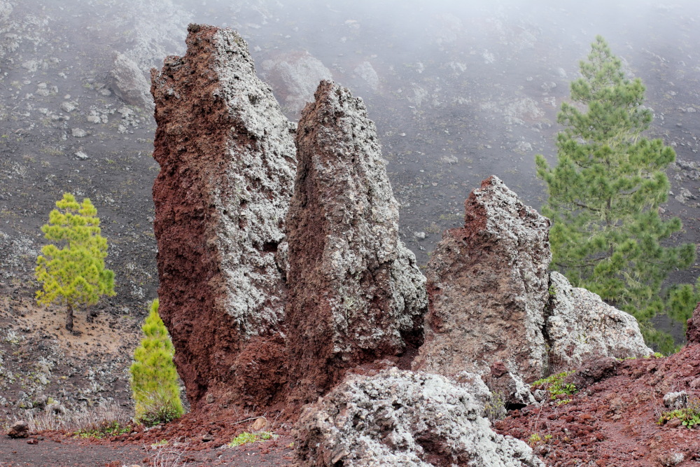 Lokation: Spanien | Canarias | Erjos | Los Llanos Kategorien: Felsen, Datum: 05.03.2011