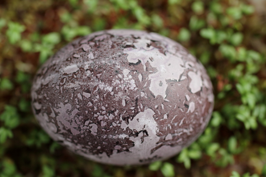 Lokation: Deutschland | Nordrhein-Westfalen | Bergisch Gladbach | Rodemich Kategorien: Datum: 07.04.2012