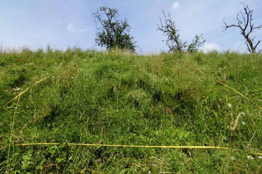 Lokation: Deutschland | Nordrhein-Westfalen | Rösrath | Klein Bliersbach Kategorien: Dauerquadrat, Datum: 04.07.2012