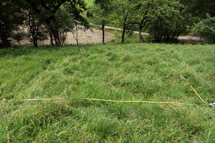 Lokation: Deutschland | Nordrhein-Westfalen | Rösrath | Groß Bliersbach Kategorien: Dauerquadrat, Datum: 04.07.2012