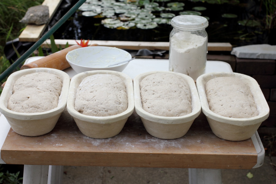 Lokation: Deutschland | Nordrhein-Westfalen | Bergisch Gladbach | Rodemich Kategorien: Essen, Datum: 25.08.2012