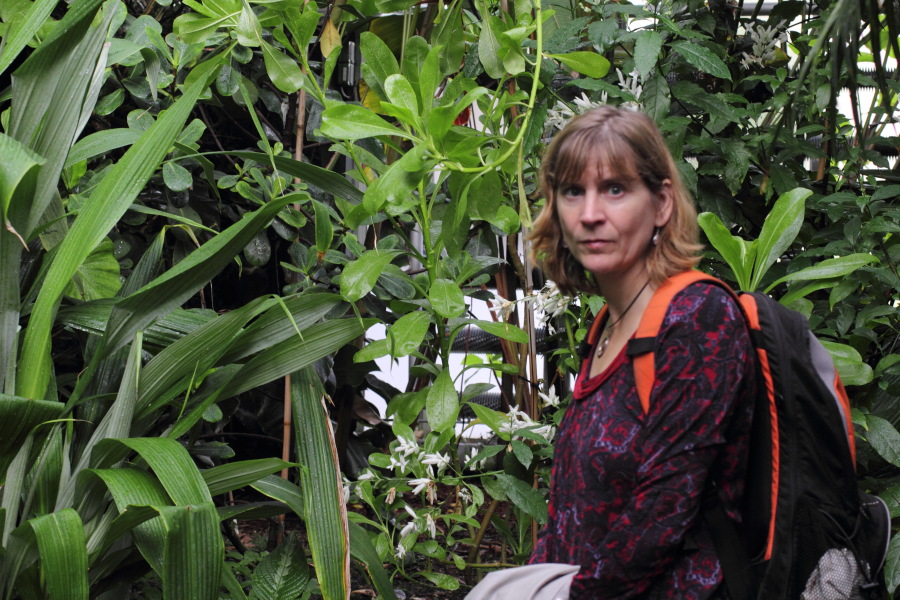 Lokation: Deutschland | Nordrhein-Westfalen | Bonn | Poppelsdorf Kategorien: Gewächshaus, Datum: 15.10.2013