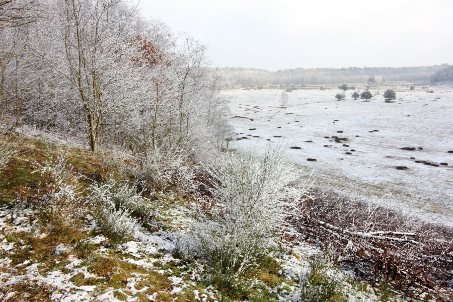 Lokation: Deutschland | Nordrhein-Westfalen | Köln | Kleineichen Kategorien: Winter, Datum: 04.02.2015