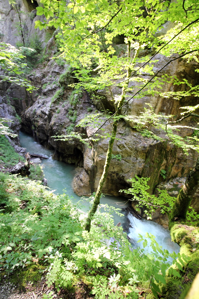 Lokation: Österreich | Kärnten | Strugarjach-Strugarje | Sapotnica Kategorien: Schlucht, Datum: 09.07.2015