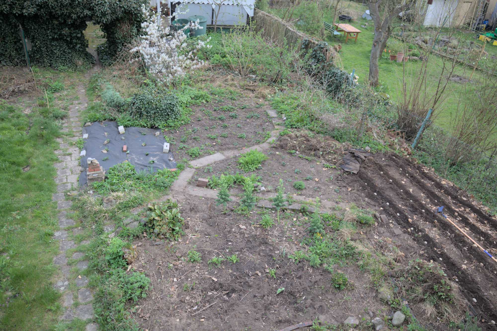 Lokation: Deutschland | Nordrhein-Westfalen | Rheinisch-Bergischer Kreis | Bergisch Gladbach Kategorien: Nutzgarten, Datum: 13.04.2016