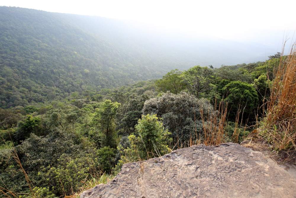 Lokation: Thailand | Nakhon Ratchasima | Ban Phak Pa Mai Kategorien: Berge, Datum: 03.02.2016