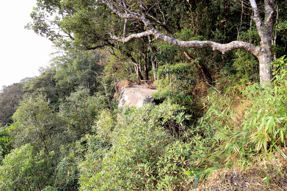 Lokation: Thailand | Nakhon Ratchasima | Ban Phak Pa Mai Kategorien: Berge, Datum: 03.02.2016