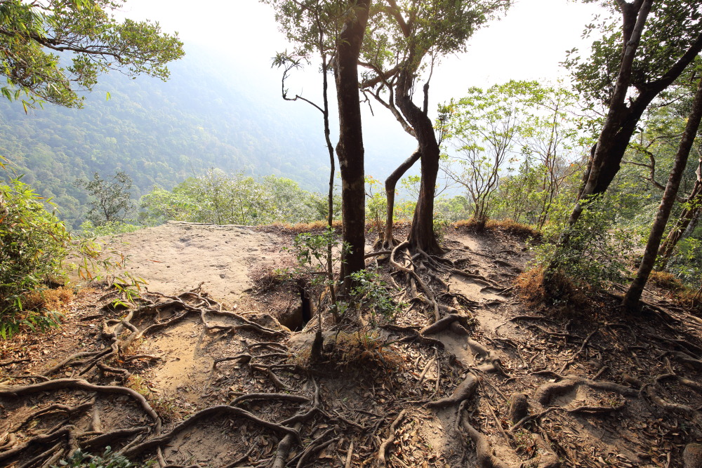 Lokation: Thailand | Nakhon Ratchasima | Ban Phak Pa Mai Kategorien: Berge, Datum: 03.02.2016