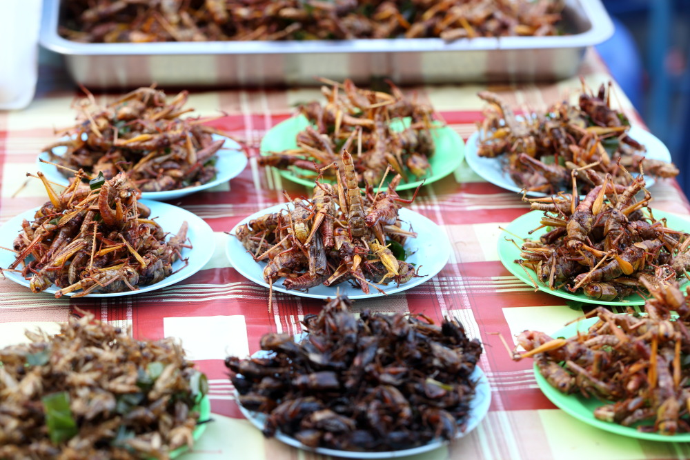 Lokation: Thailand | Phranakhon Si Ayutthaya | Pharnakhon Si Ayutthaya | Ayutthaya Kategorien: Markt, Datum: 04.02.2016