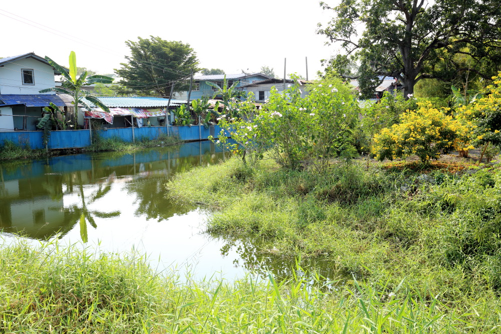 Lokation: Thailand | Phranakhon Si Ayutthaya | Pharnakhon Si Ayutthaya | Ban Wat Lot Chong Kategorien: Kanal, Datum: 05.02.2016