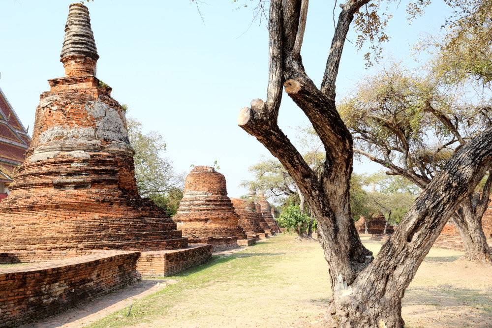 Lokation: Thailand | Phranakhon Si Ayutthaya | Pharnakhon Si Ayutthaya | Ban Wat Lot Chong Kategorien: Tempel, Datum: 05.02.2016
