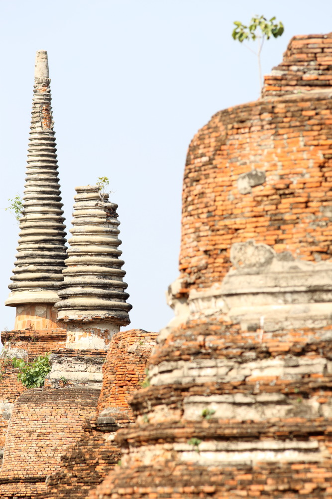 Lokation: Thailand | Phranakhon Si Ayutthaya | Pharnakhon Si Ayutthaya | Ban Wat Lot Chong Kategorien: Tempel, Datum: 05.02.2016