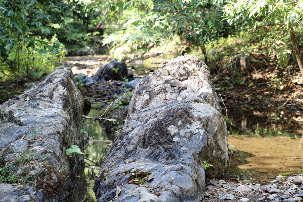 Lokation: Thailand | Phetchaburi | Ban Krang Kategorien: Fluss, Datum: 08.02.2016