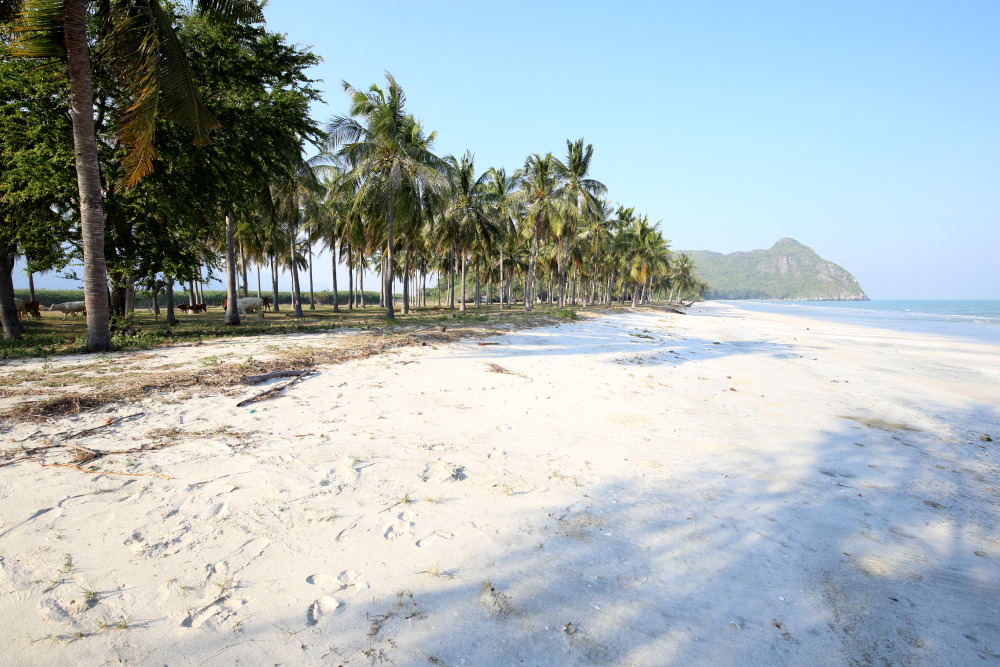 Lokation: Thailand | Prachuap Khirikhan | Kui Buri | Ban Khao Daeng Kategorien: Strand, Datum: 10.02.2016
