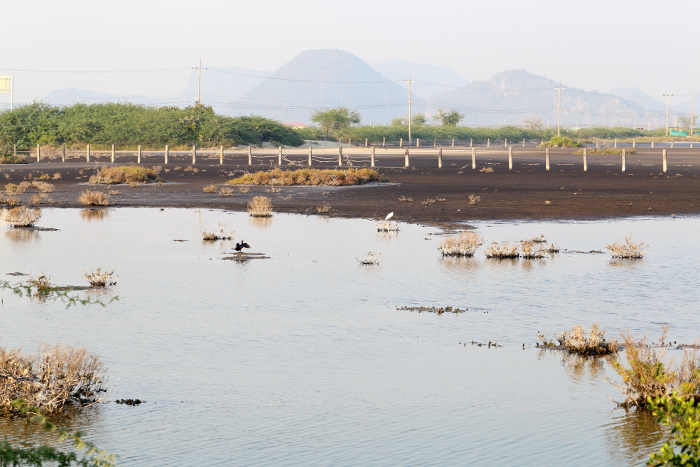 Lokation: Thailand | Prachuap Khirikhan | Kui Buri | Ban Khao Daeng Kategorien: Lagune, Datum: 10.02.2016