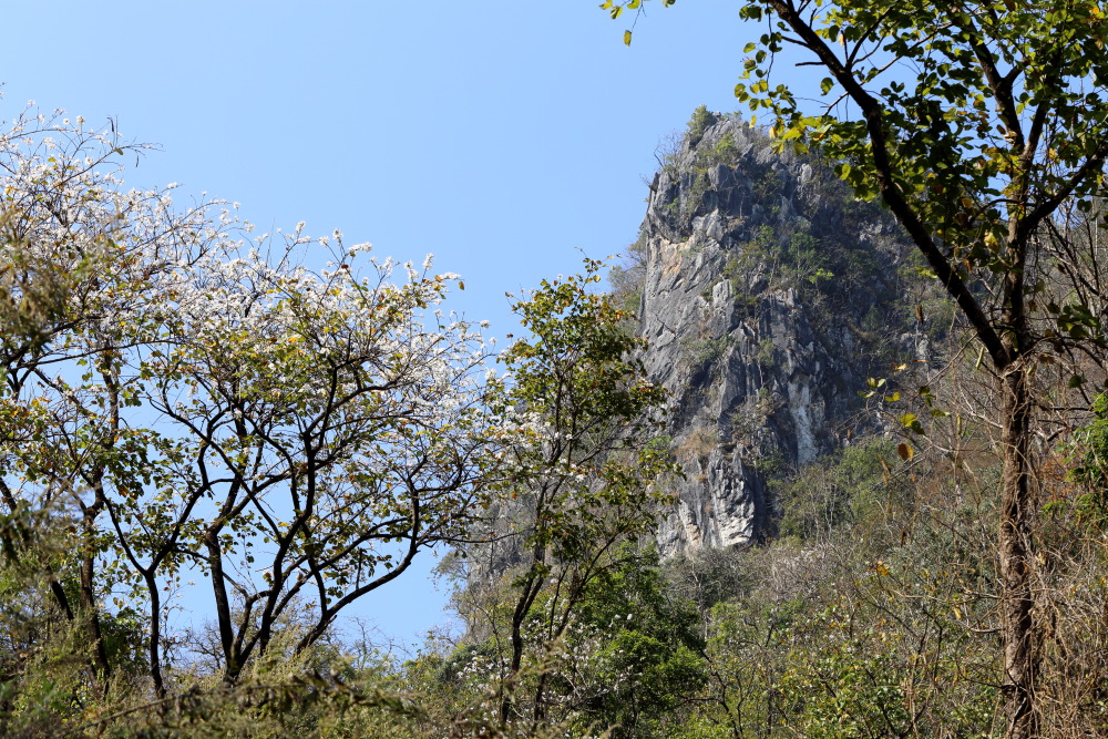 Lokation: Thailand | Chiang Mai | Chiang Dao | Ban Na Lao Mai Kategorien: Berge, Datum: 17.02.2016