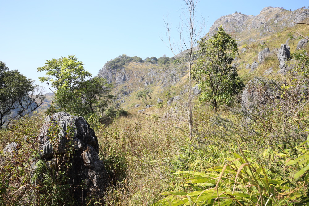 Lokation: Thailand | Chiang Mai | Chiang Dao | Ban Pa Miang Nam Ka Kategorien: Felsen, Datum: 17.02.2016