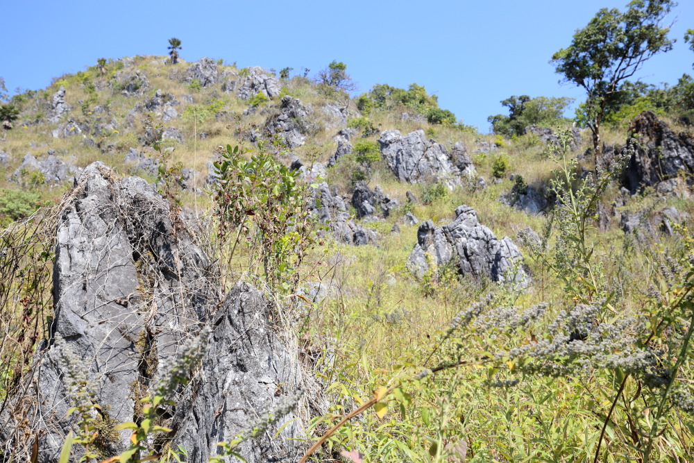 Lokation: Thailand | Chiang Mai | Chiang Dao | Ban Pa Miang Nam Ka Kategorien: Felsen, Datum: 17.02.2016