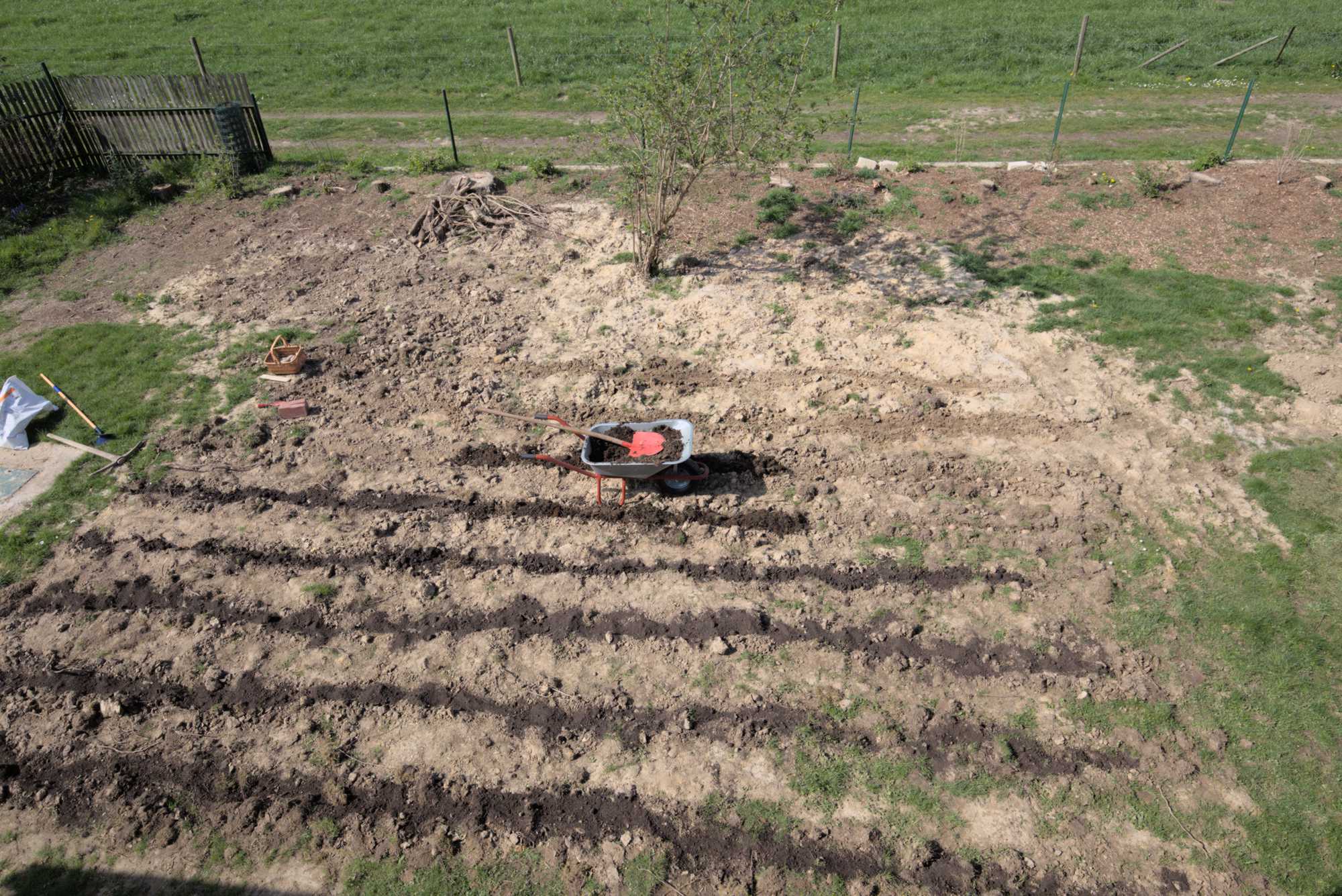 Lokation: Deutschland | Nordrhein-Westfalen | Heinsberg | Wassenberg Kategorien: Nutzgarten, Hortus rusticus, Selbstversorgung, Datum: 02.04.2017
