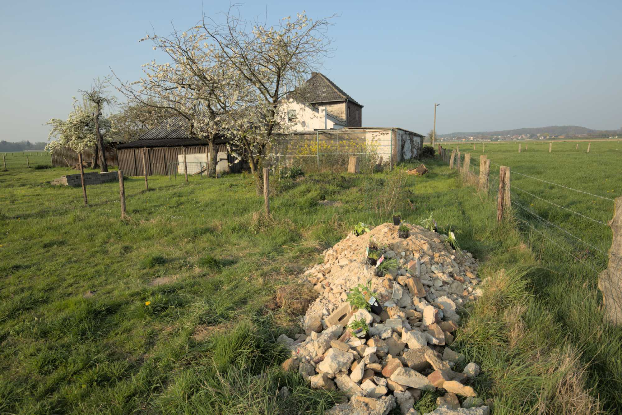 Lokation: Deutschland | Nordrhein-Westfalen | Heinsberg | Wassenberg Kategorien: Magerbeet, Hortus rusticus, Datum: 08.04.2017