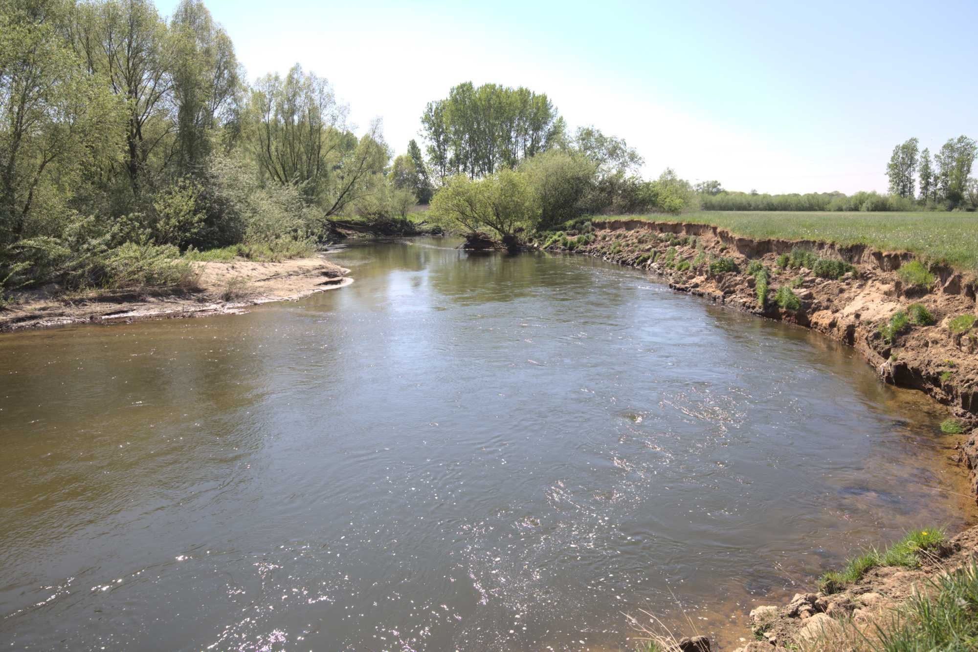 Lokation: Niederlande | Limburg | Roerdalen | Vlodrop Kategorien: Fluss, Datum: 23.04.2020