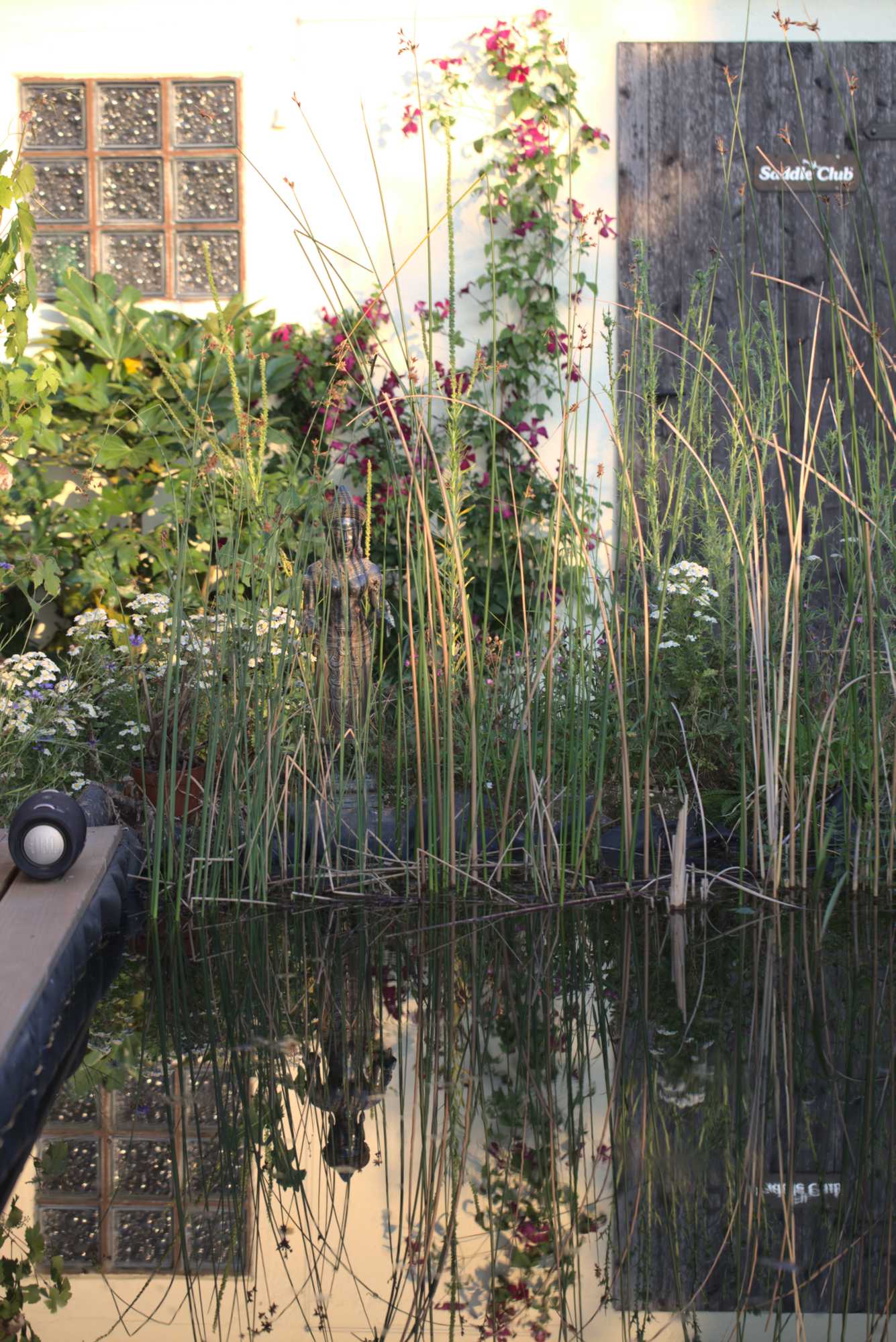 Lokation: Deutschland | Nordrhein-Westfalen | Heinsberg | Wassenberg Kategorien: Teich, Naturgarten, Hortus rusticus, Landhausgarten, Datum: 20.06.2020