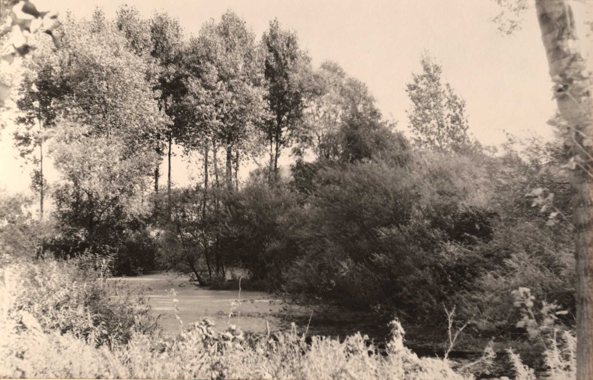 Lokation: Deutschland | Nordrhein-Westfalen | Heinsberg | Heinsberg Kategorien: Schwarzweiß, Datum: 07.03.2021