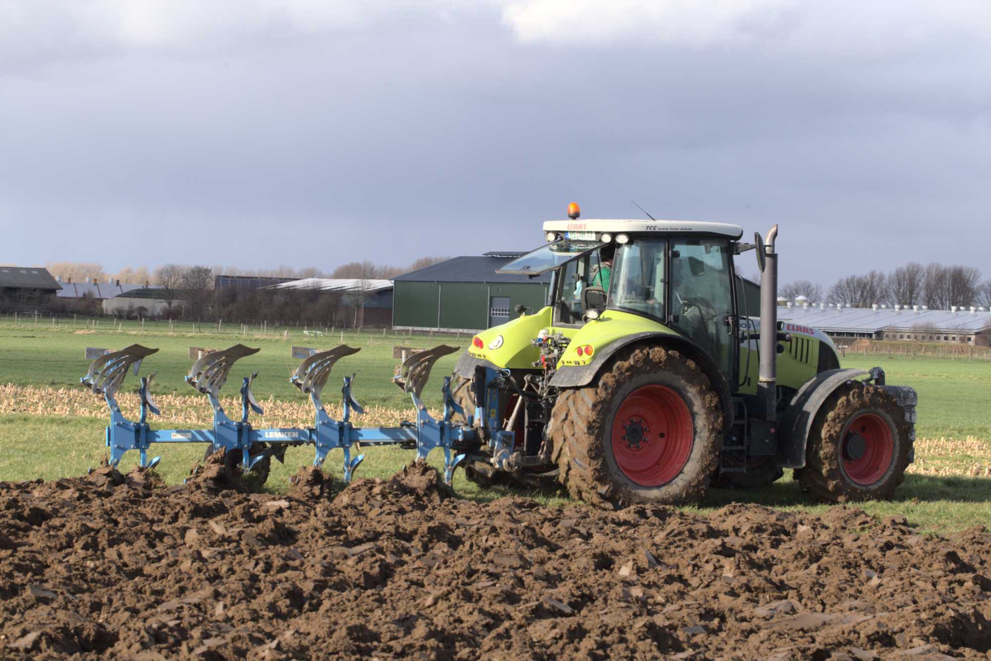 Lokation: Deutschland | Nordrhein-Westfalen | Heinsberg | Heinsberg Kategorien: Wiese, Datum: 15.03.2021