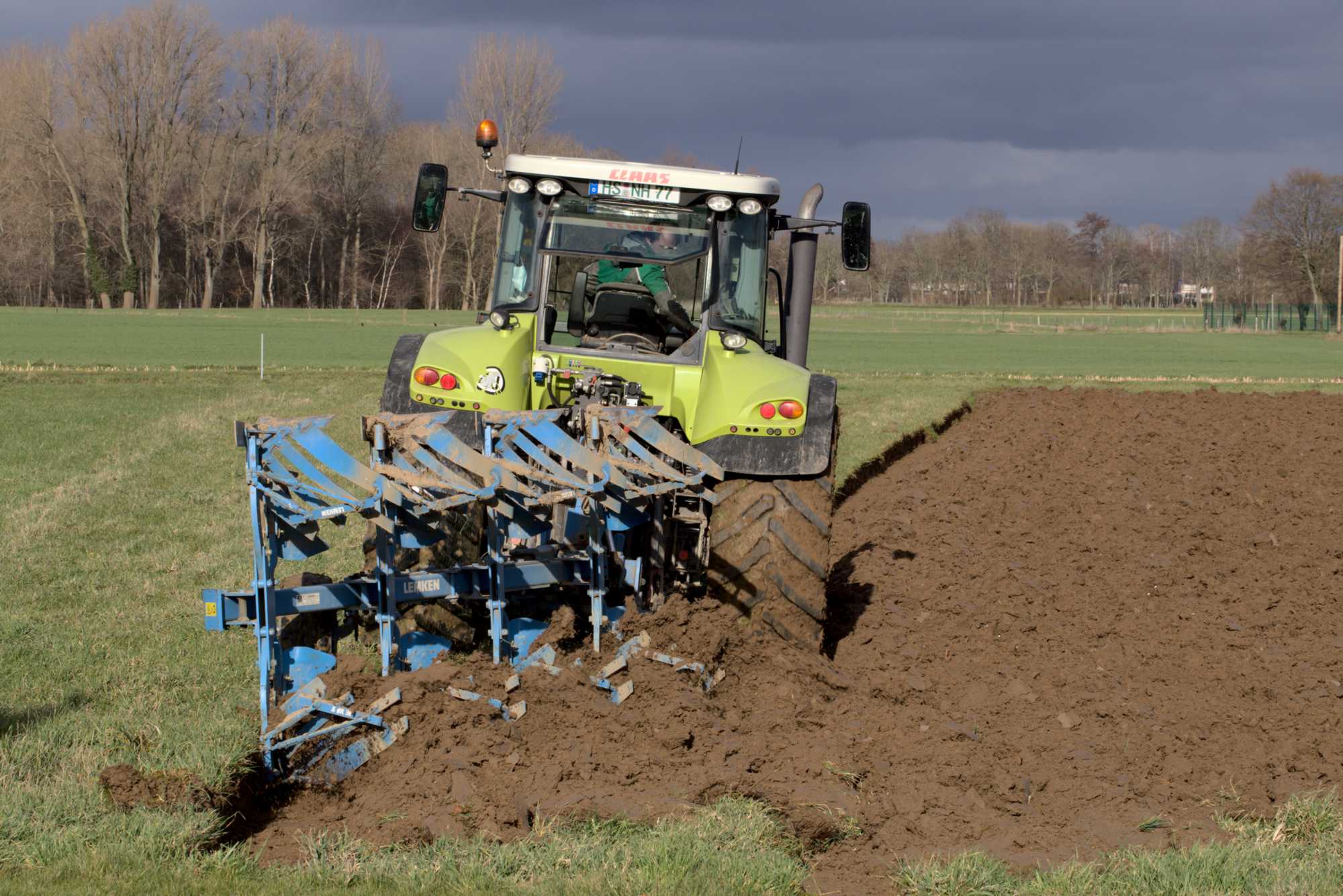 Lokation: Deutschland | Nordrhein-Westfalen | Heinsberg | Heinsberg Kategorien: Wiese, Datum: 15.03.2021
