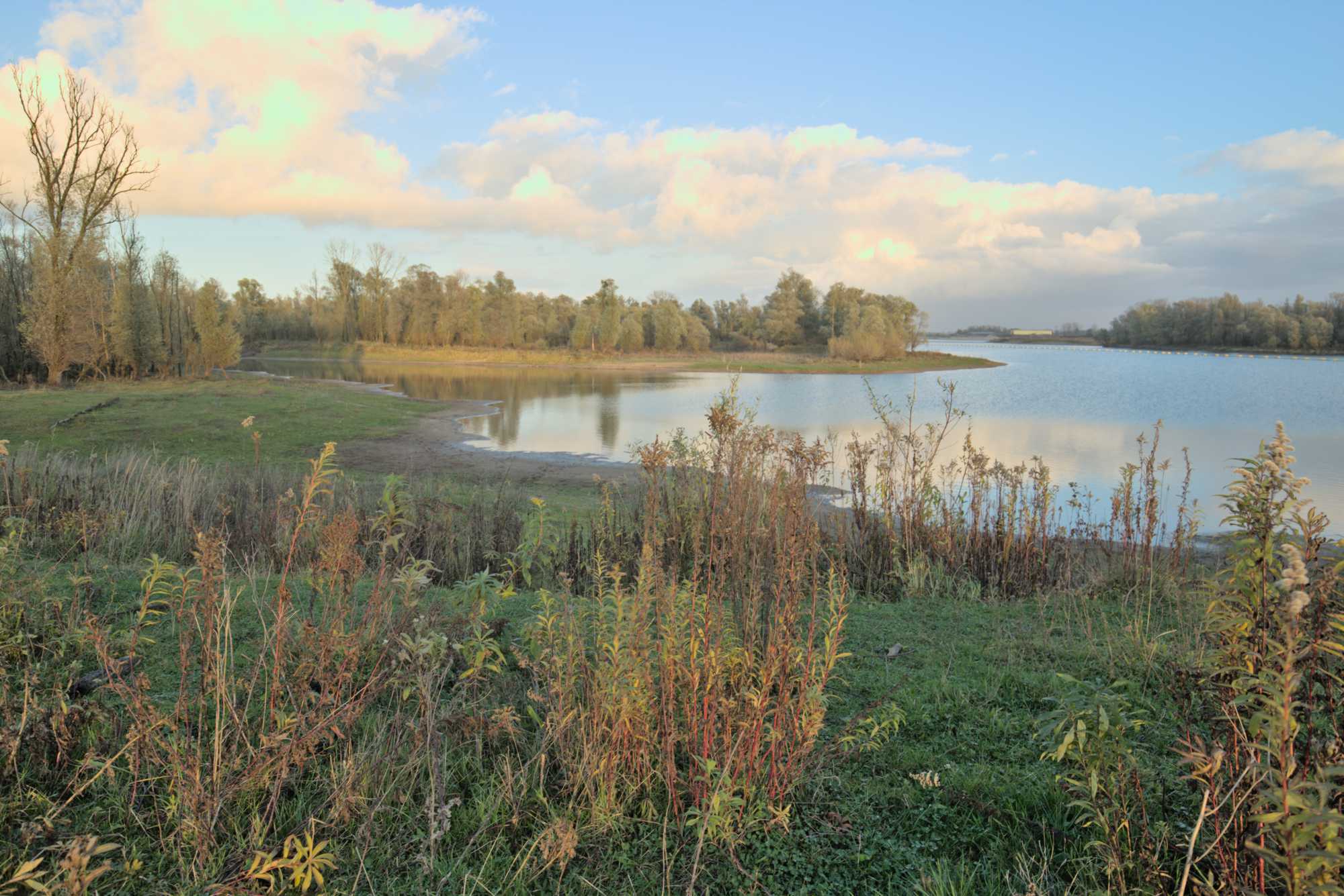 Lokation: Niederlande | Gelderland | Berg en Dal | Kekerdom Kategorien: Aue, Datum: 17.11.2021