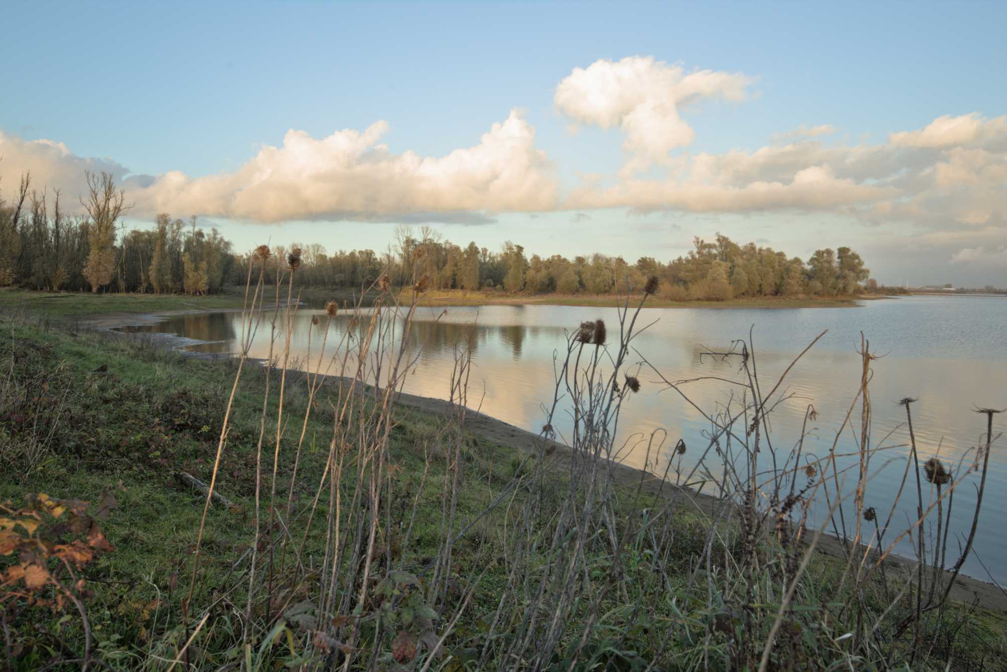 Lokation: Niederlande | Gelderland | Berg en Dal | Kekerdom Kategorien: Aue, Datum: 17.11.2021