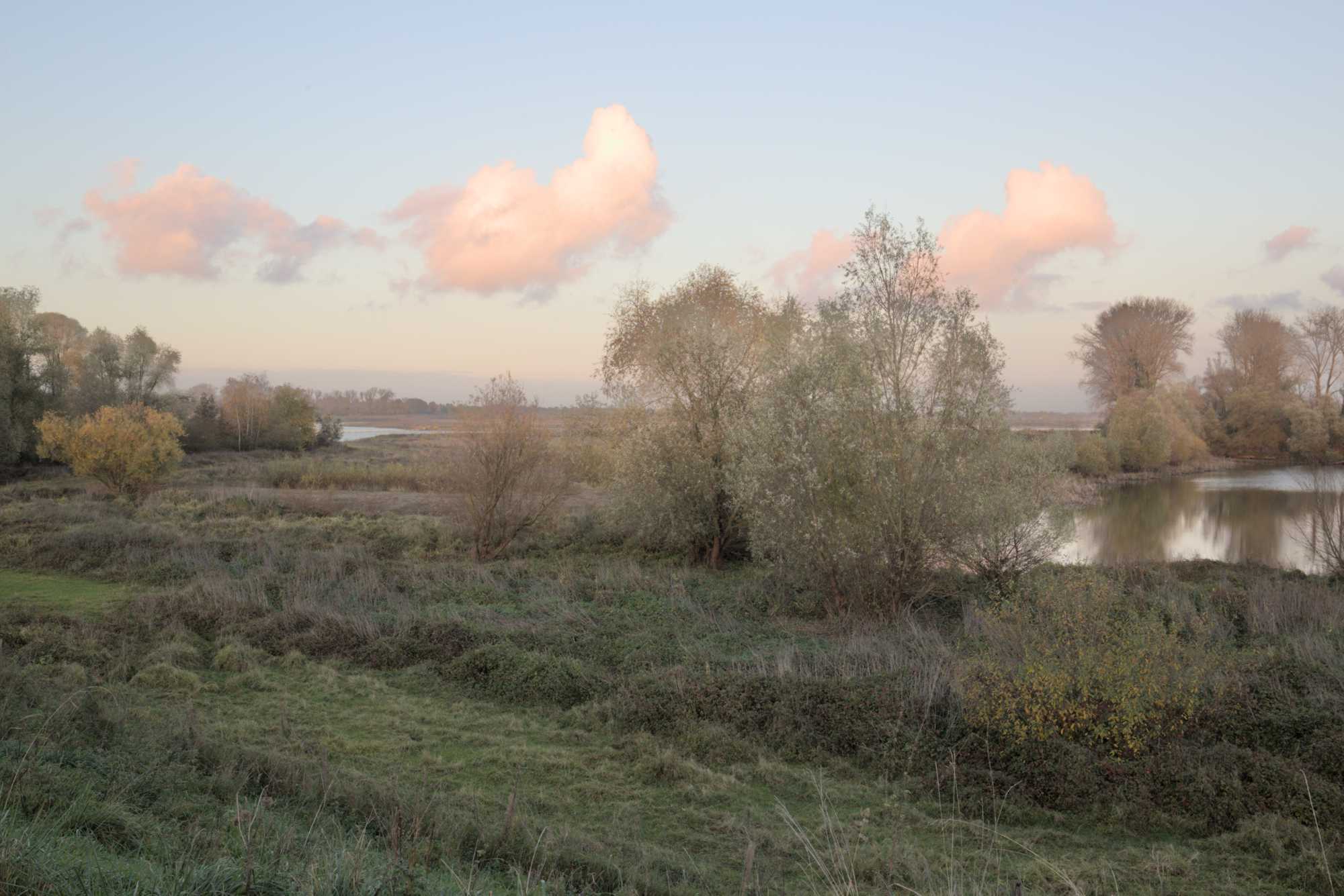 Lokation: Niederlande | Gelderland | Berg en Dal | Kekerdom Kategorien: Aue, Datum: 17.11.2021