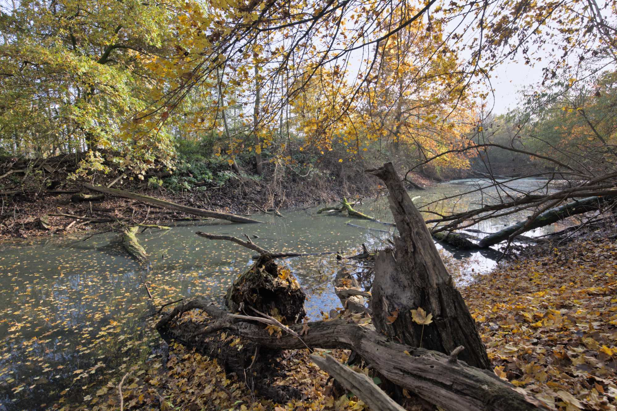 Lokation: Deutschland | Nordrhein-Westfalen | Heinsberg | Heinsberg Kategorien: Altarm, Datum: 18.11.2021