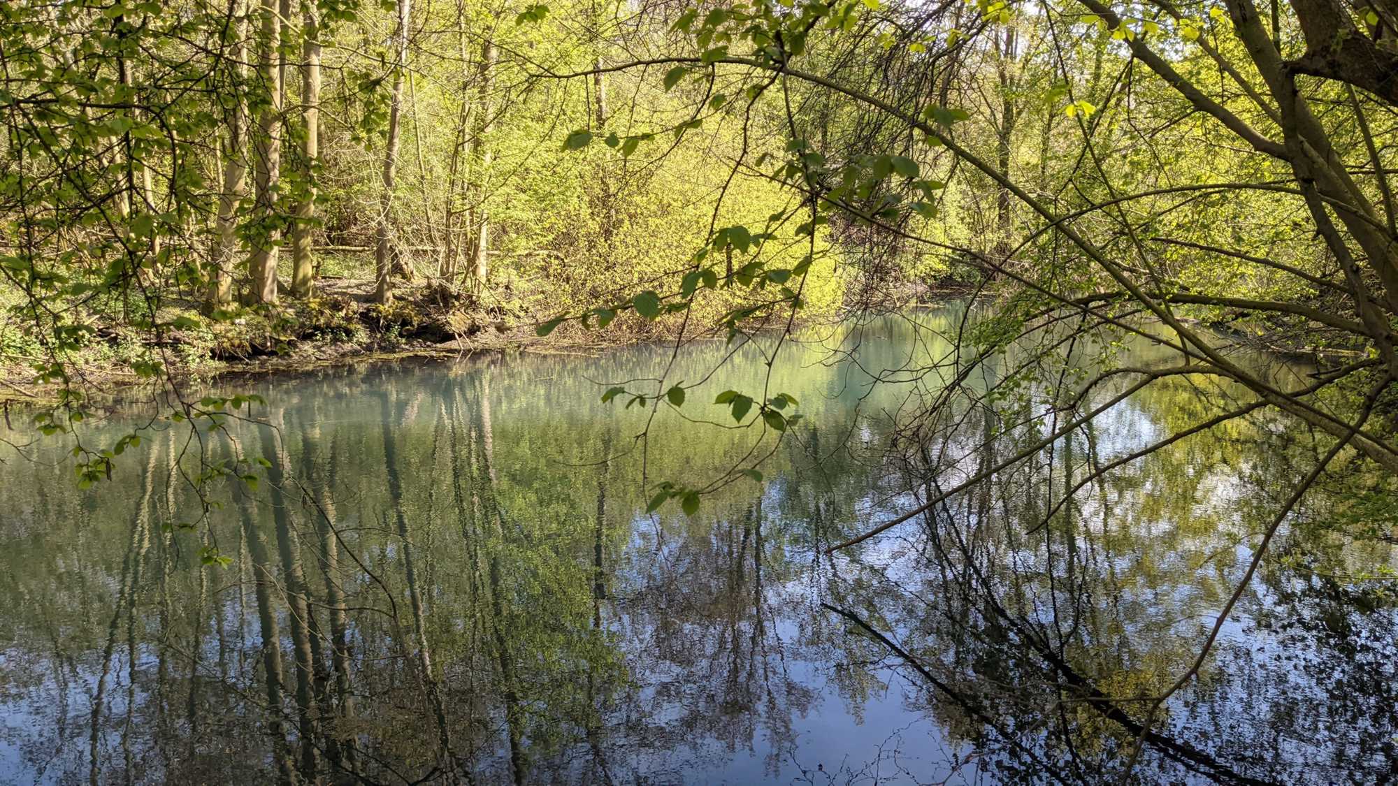 Lokation: Deutschland | Nordrhein-Westfalen | Heinsberg | Heinsberg Kategorien: Altarm, Datum: 24.04.2021