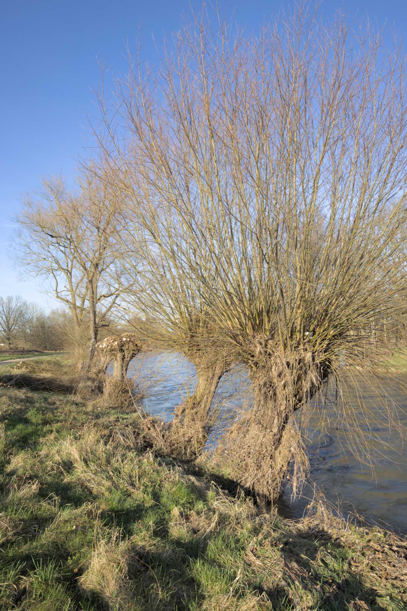Lokation: Deutschland | Nordrhein-Westfalen | Heinsberg | Hückelhoven Kategorien: Fluss, Datum: 12.02.2022
