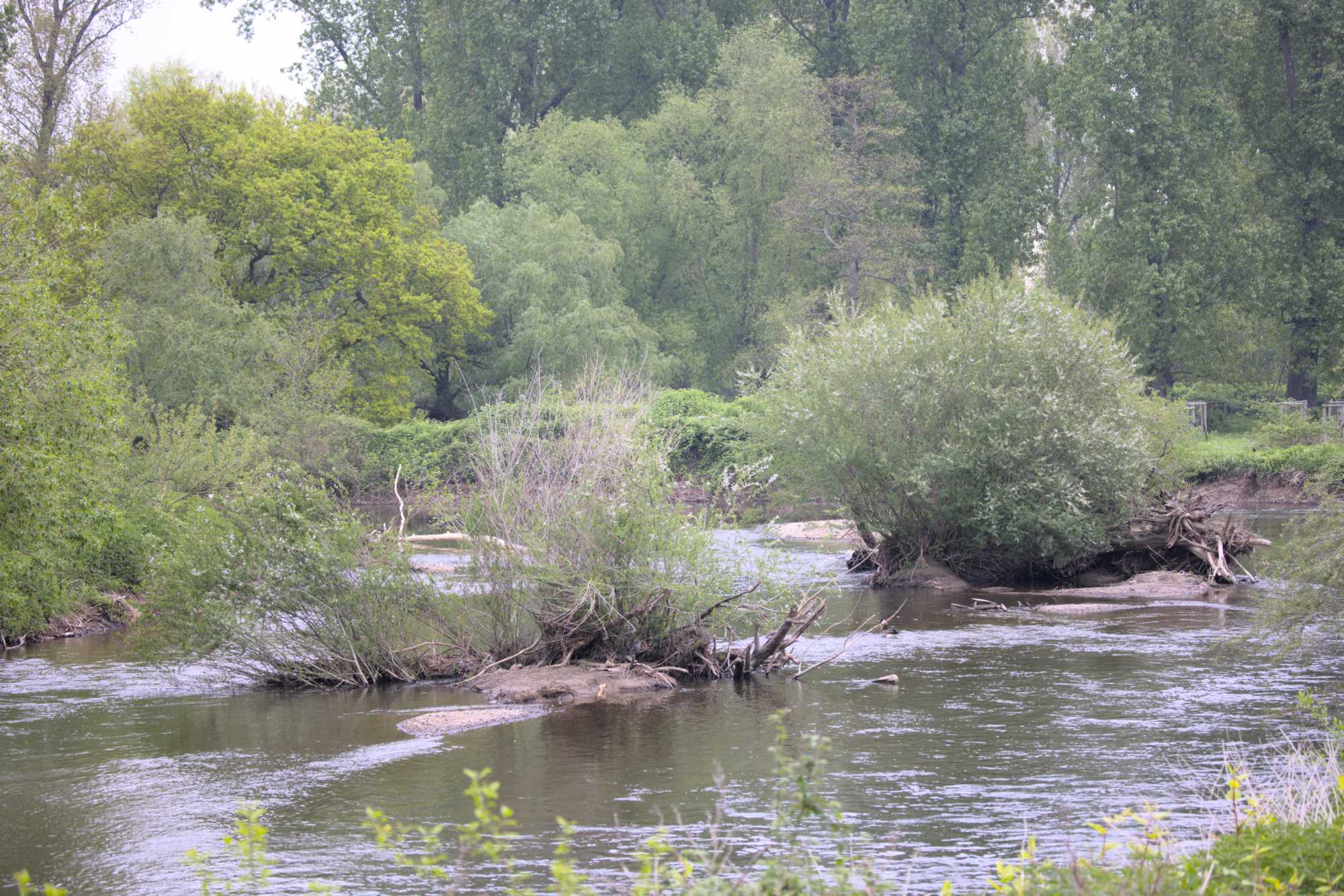 Lokation: Deutschland | Nordrhein-Westfalen | Düren | Jülich Kategorien: Fluss, Datum: 01.05.2022