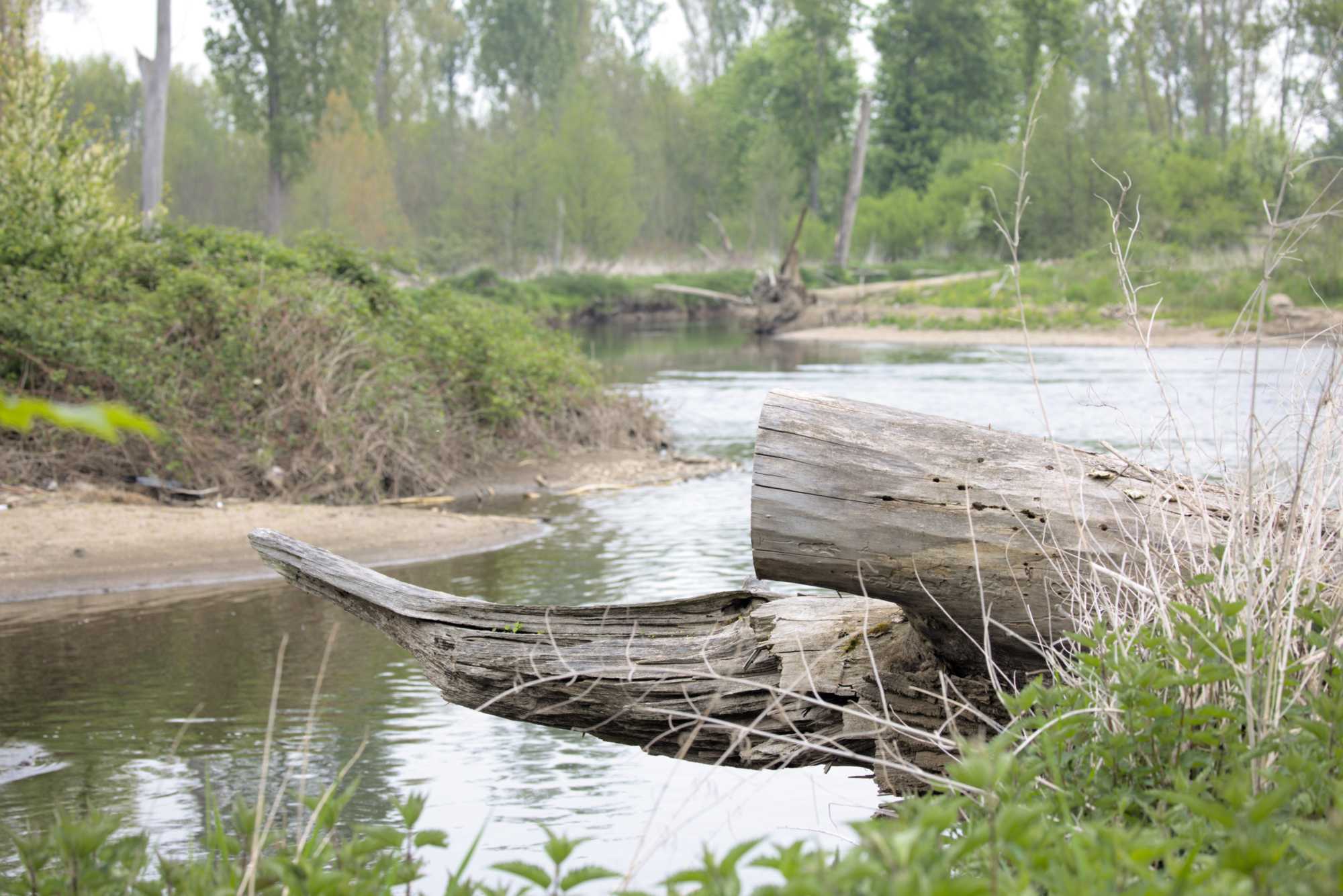 Lokation: Deutschland | Nordrhein-Westfalen | Düren | Jülich Kategorien: Fluss, Datum: 01.05.2022