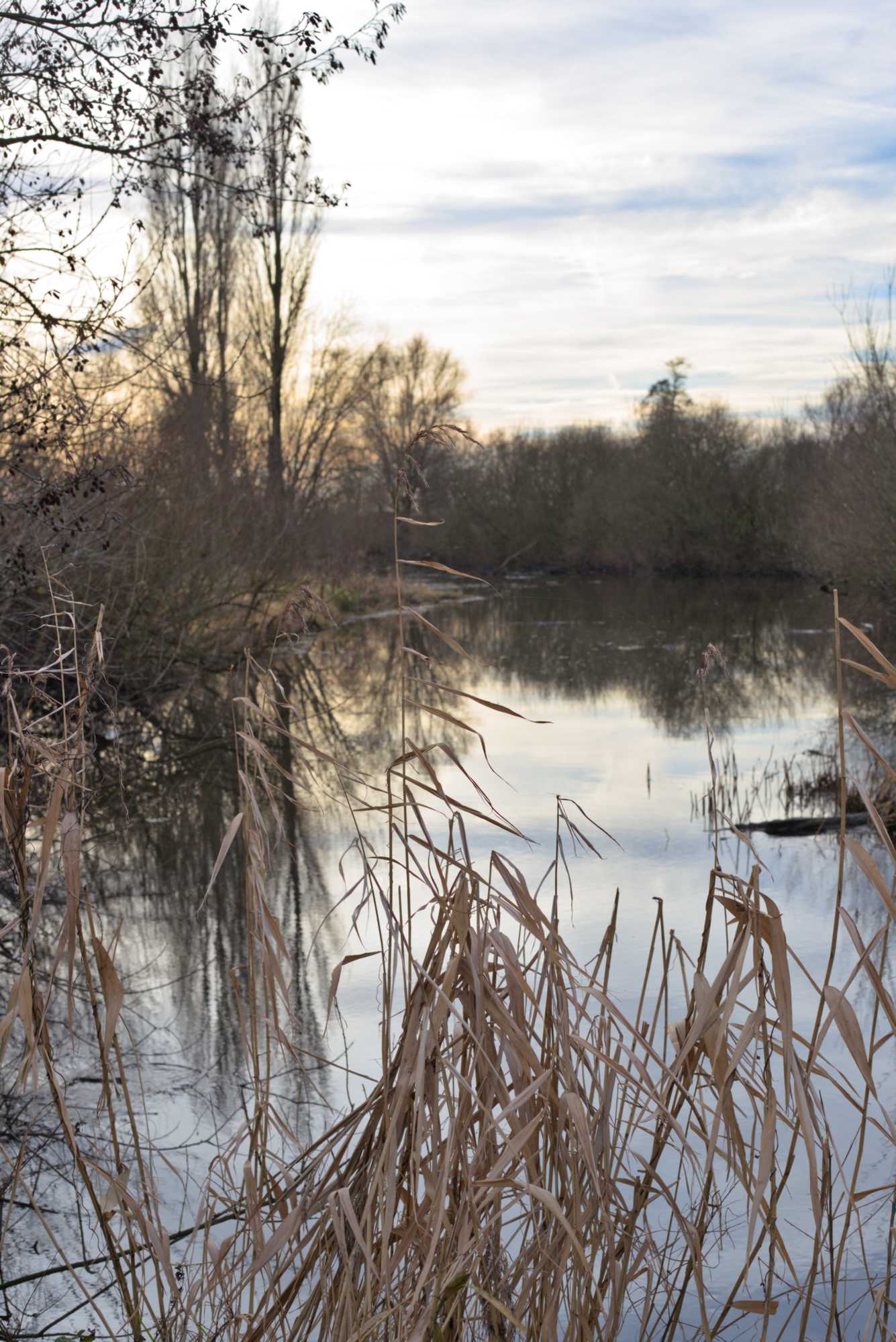 Lokation: Deutschland | Nordrhein-Westfalen | Heinsberg | Wassenberg Kategorien: Aue, Datum: 01.01.2022