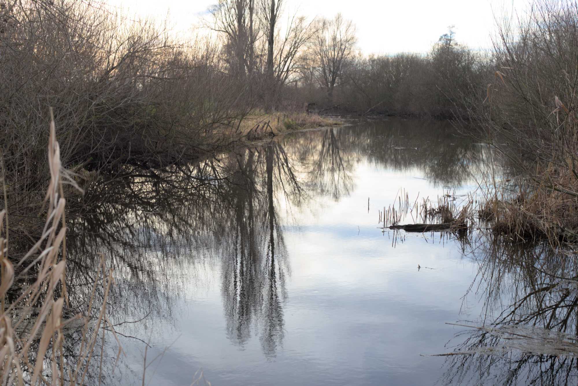 Lokation: Deutschland | Nordrhein-Westfalen | Heinsberg | Wassenberg Kategorien: Aue, Datum: 01.01.2022