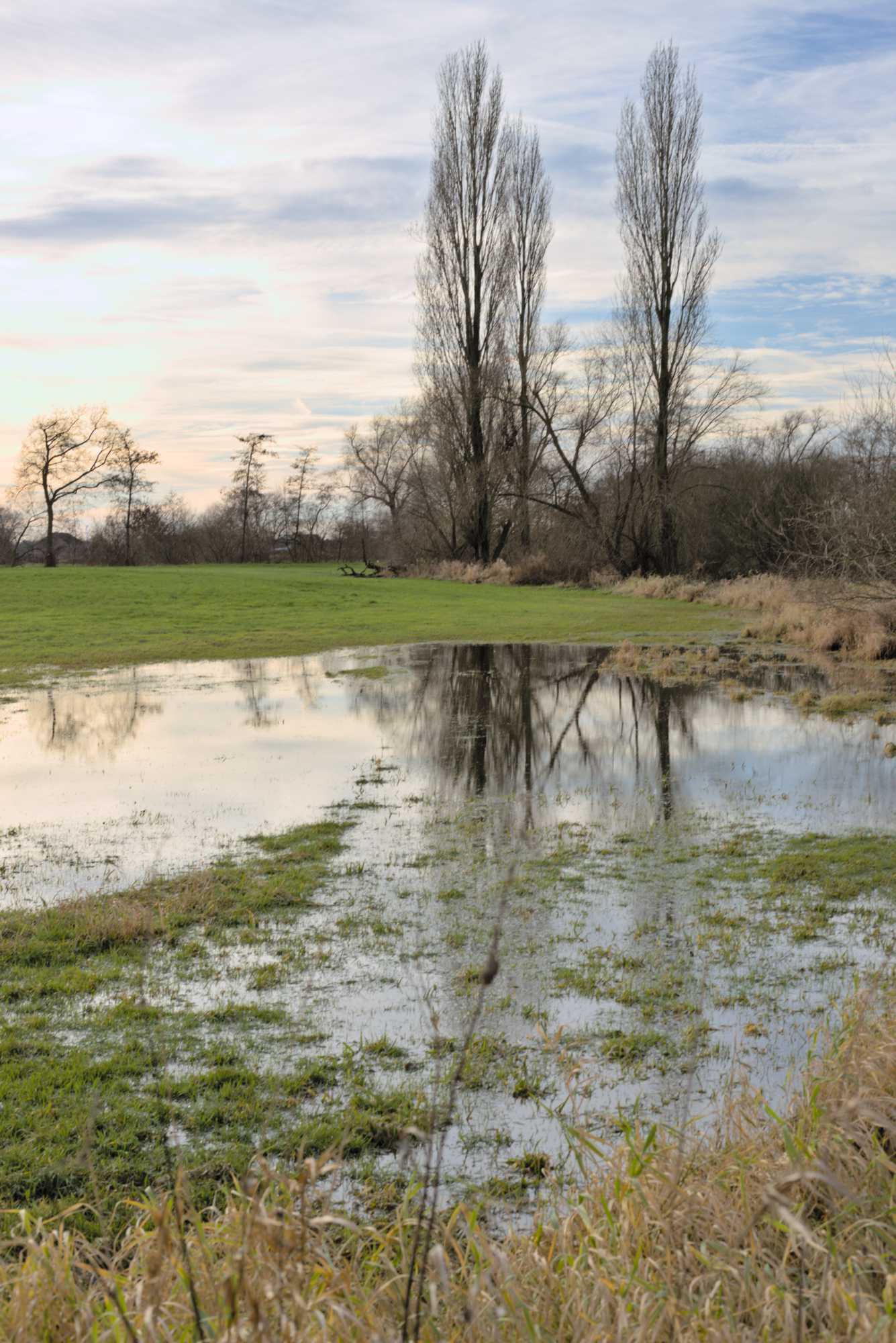 Lokation: Deutschland | Nordrhein-Westfalen | Heinsberg | Wassenberg Kategorien: Aue, Datum: 01.01.2022