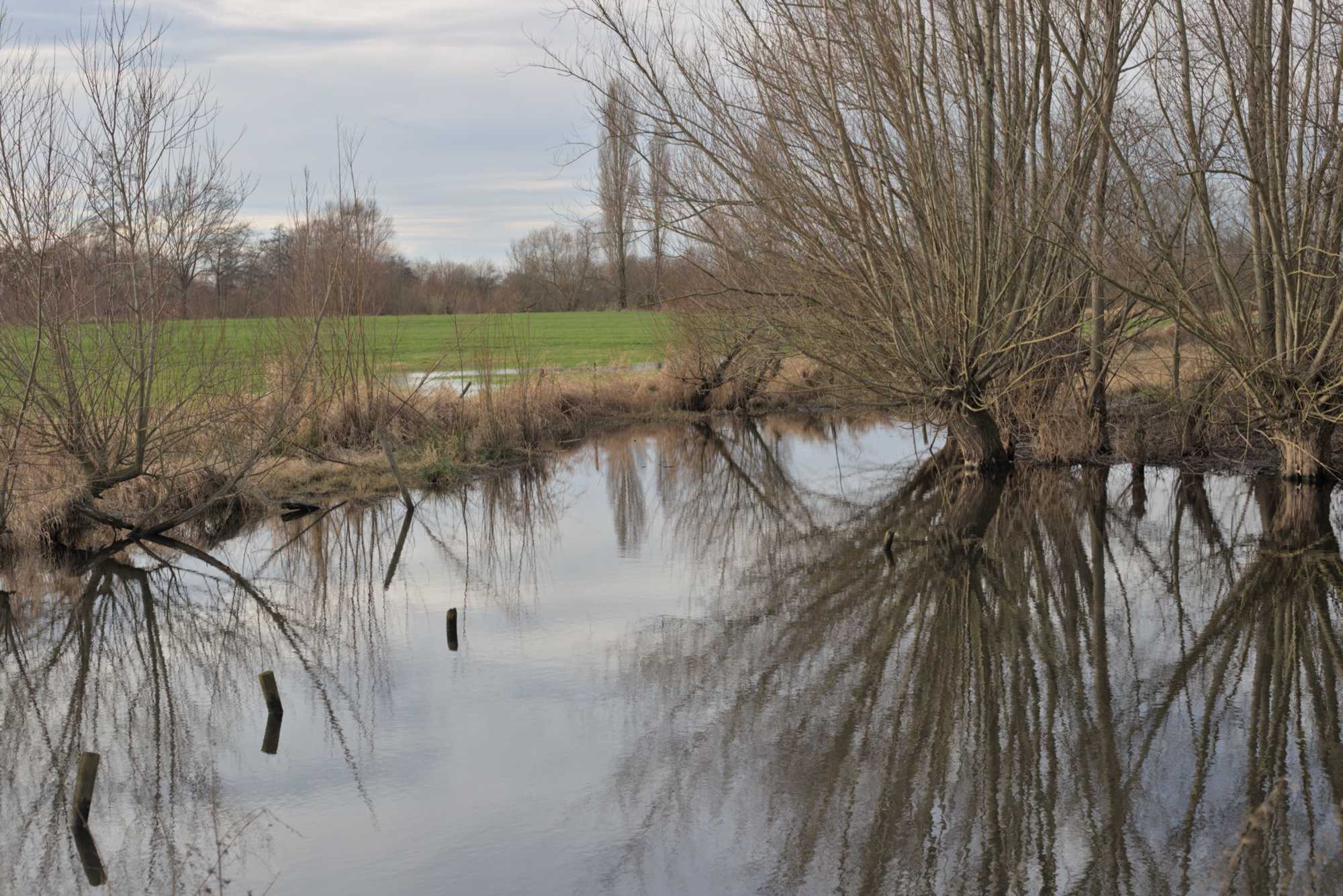 Lokation: Deutschland | Nordrhein-Westfalen | Heinsberg | Wassenberg Kategorien: Aue, Datum: 01.01.2022