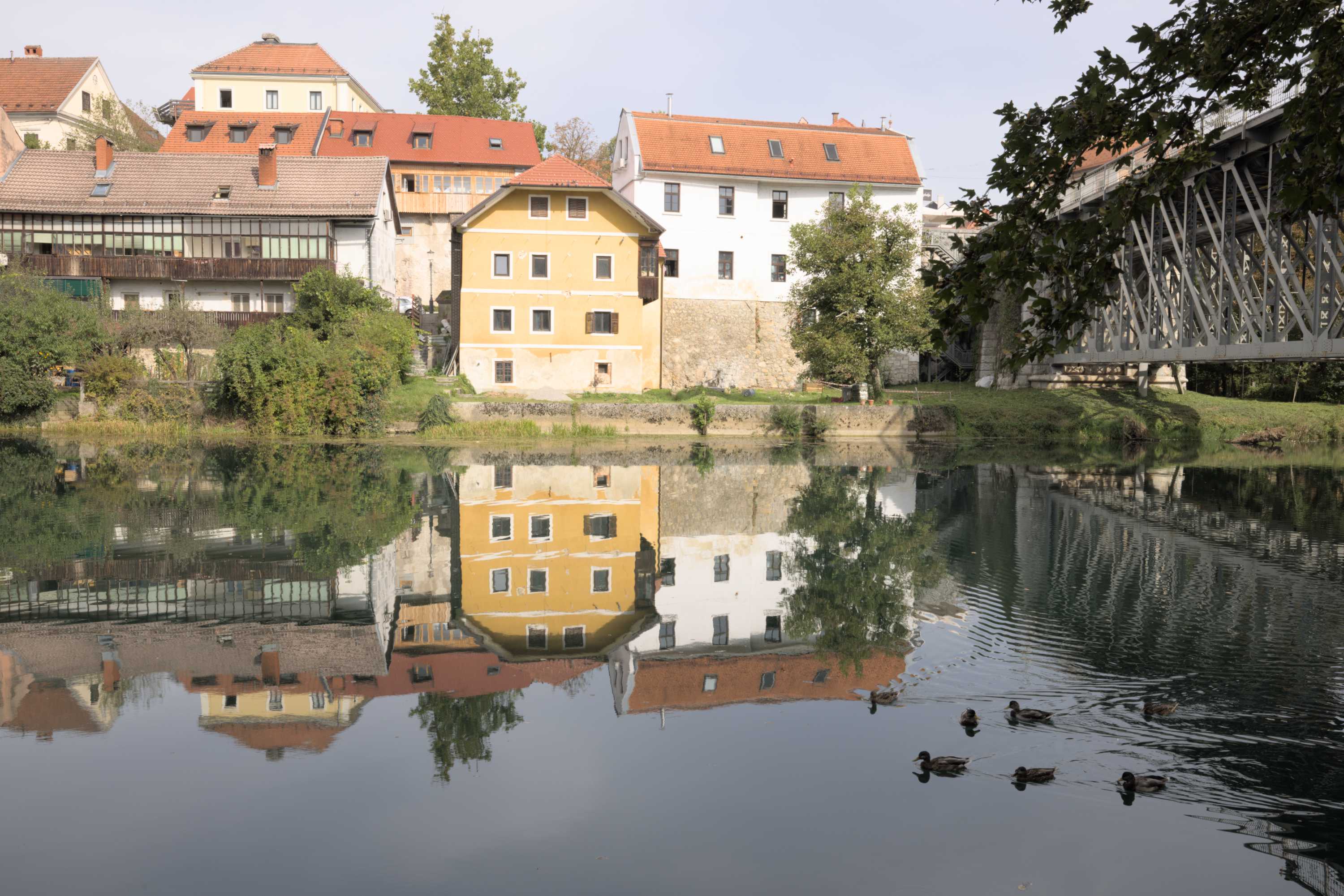 Lokation: Slowenien | Ostslowenien | Südostslowenien | Novo mesto Kategorien: Stadt, Fluss, Datum: 14.09.2022