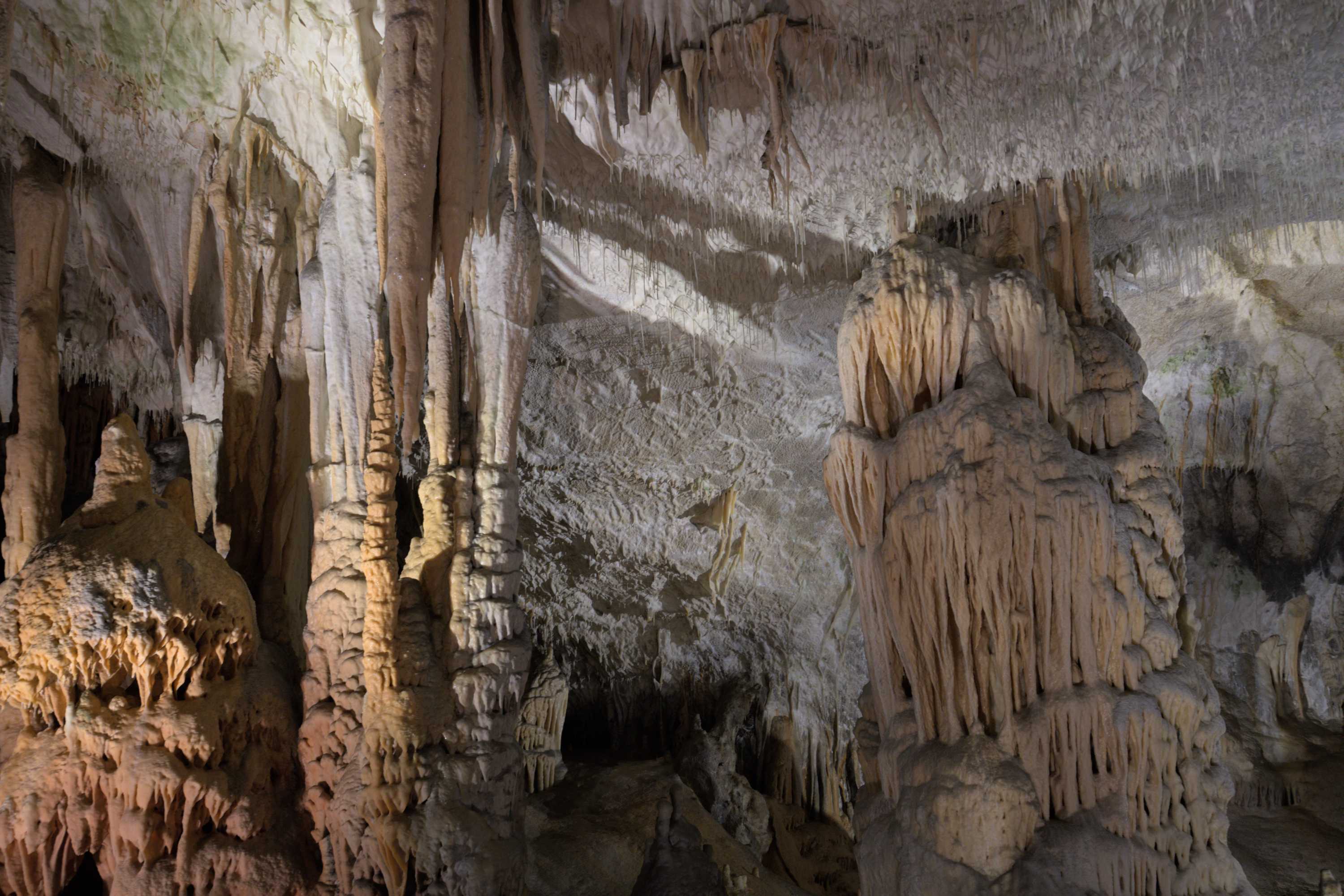 Lokation: Slowenien | Ostslowenien | Küstenland-Innerkrain | Postojna Kategorien: Höhle, Datum: 16.09.2022