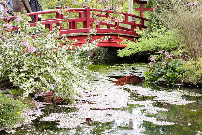 Lokation: Jap. Garten Leverkusen Kategorien: Garten, Teich, Datum: 24.04.2005