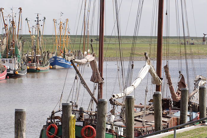 Lokation: Ostfriesland, Greetsiel Kategorien: Hafen, Datum: 17.07.2005