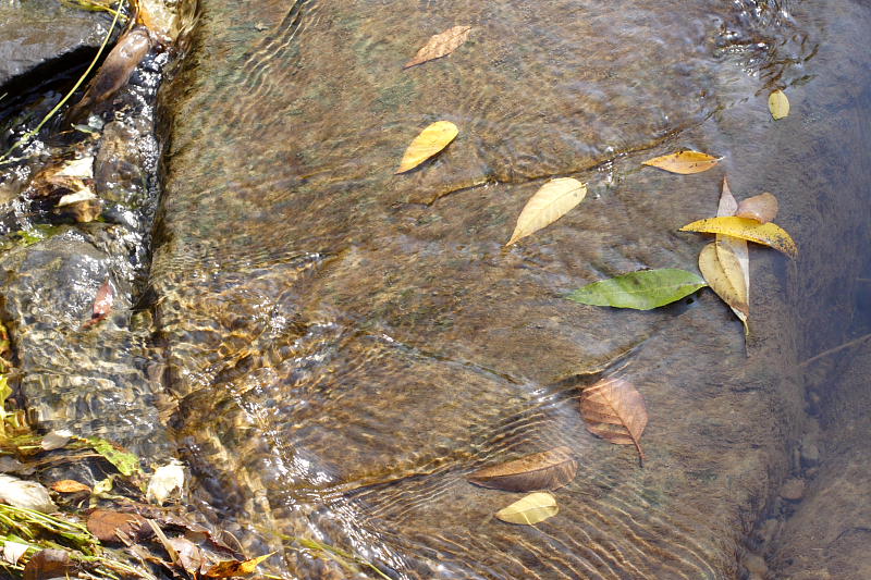 Kategorien: Datum: 07.10.2007