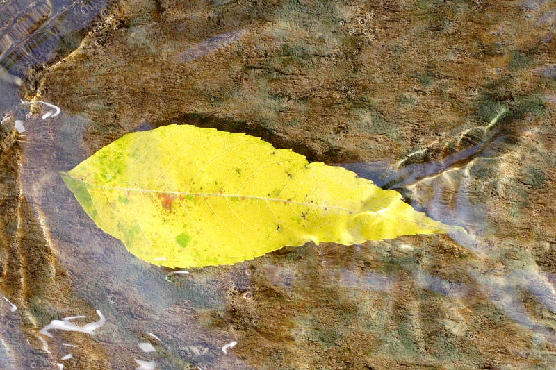 Kategorien: Datum: 07.10.2007