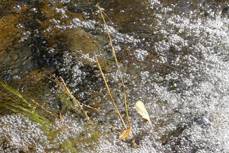 Kategorien: Datum: 07.10.2007